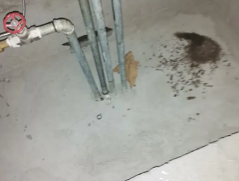 稻城卫生间测漏水价格明细